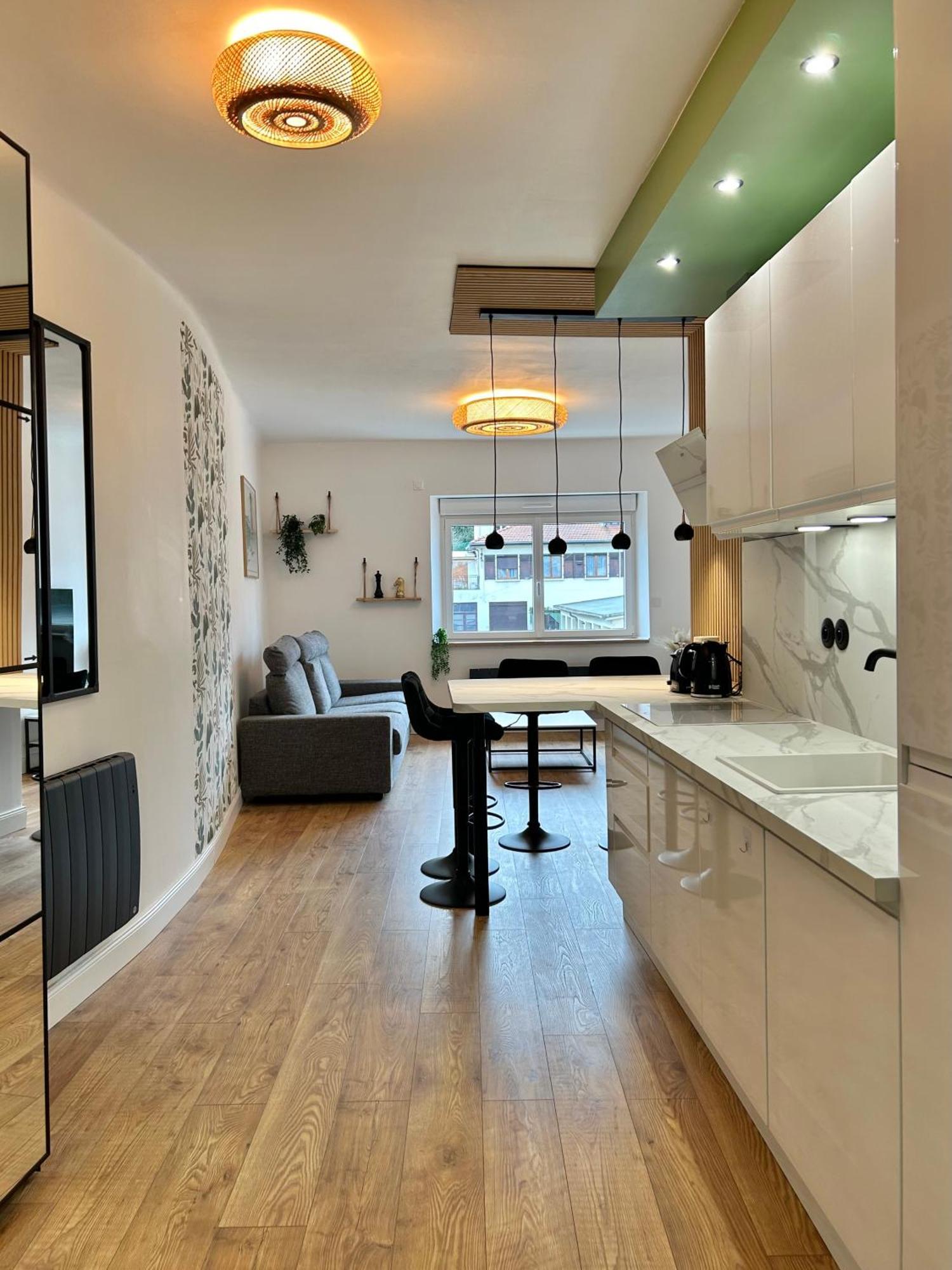 Le Chardon- Appartement 2Chambres- Avec Stationnement Nancy Dış mekan fotoğraf