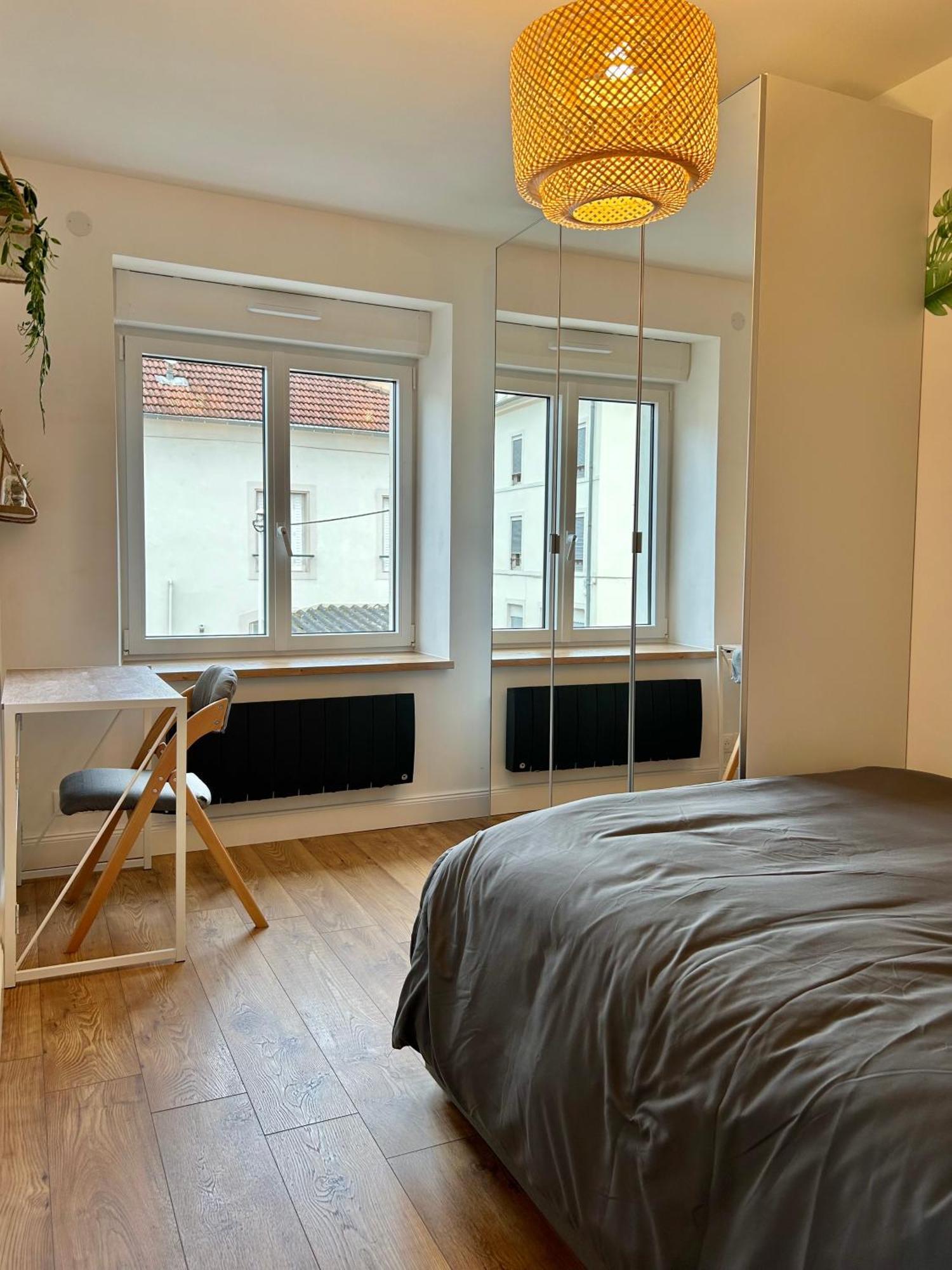 Le Chardon- Appartement 2Chambres- Avec Stationnement Nancy Dış mekan fotoğraf