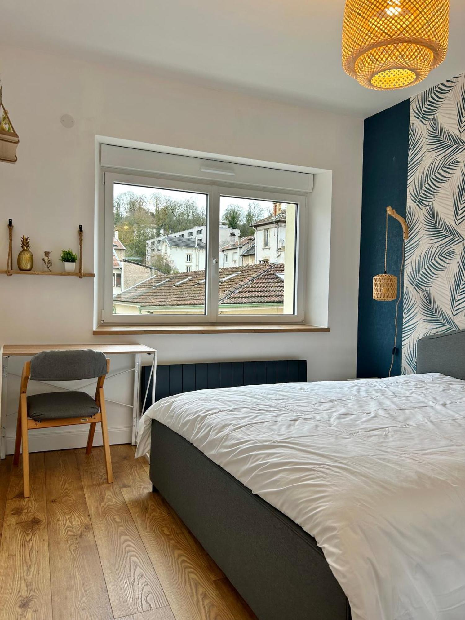 Le Chardon- Appartement 2Chambres- Avec Stationnement Nancy Dış mekan fotoğraf