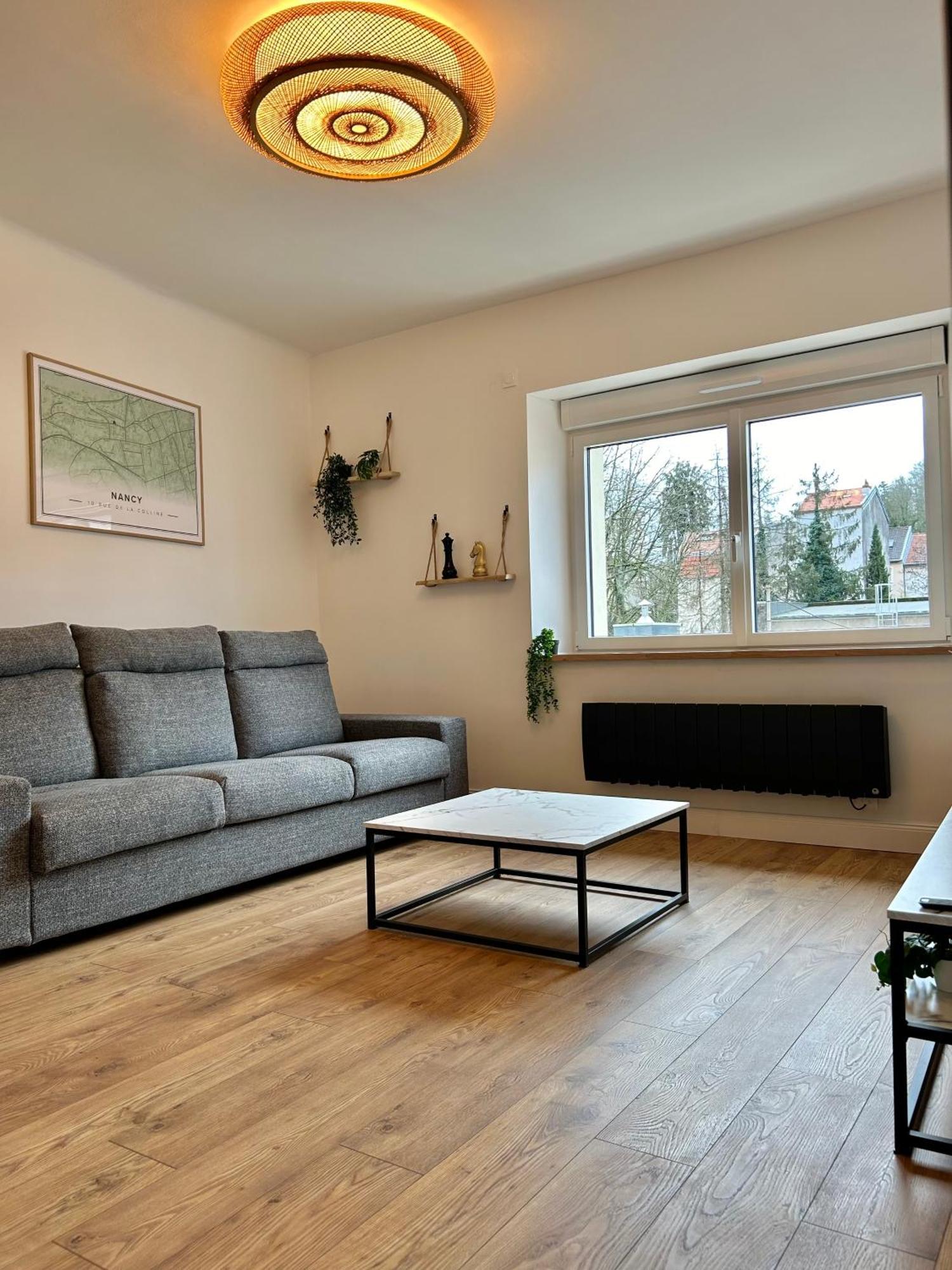 Le Chardon- Appartement 2Chambres- Avec Stationnement Nancy Dış mekan fotoğraf